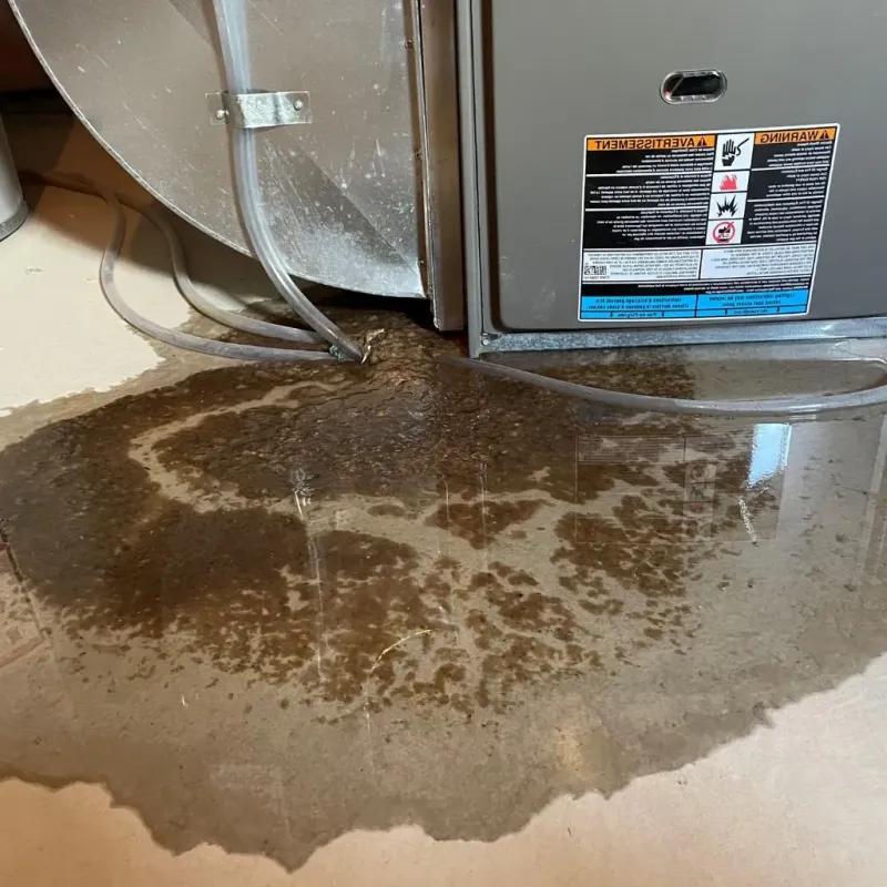 Pipe Burst and Leak Restoration in Barton County, KS