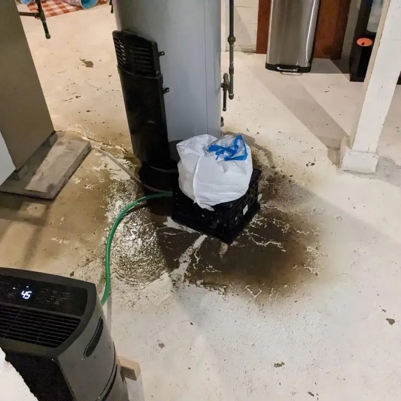 Sewage Backup Cleanup Service in Barton County, KS